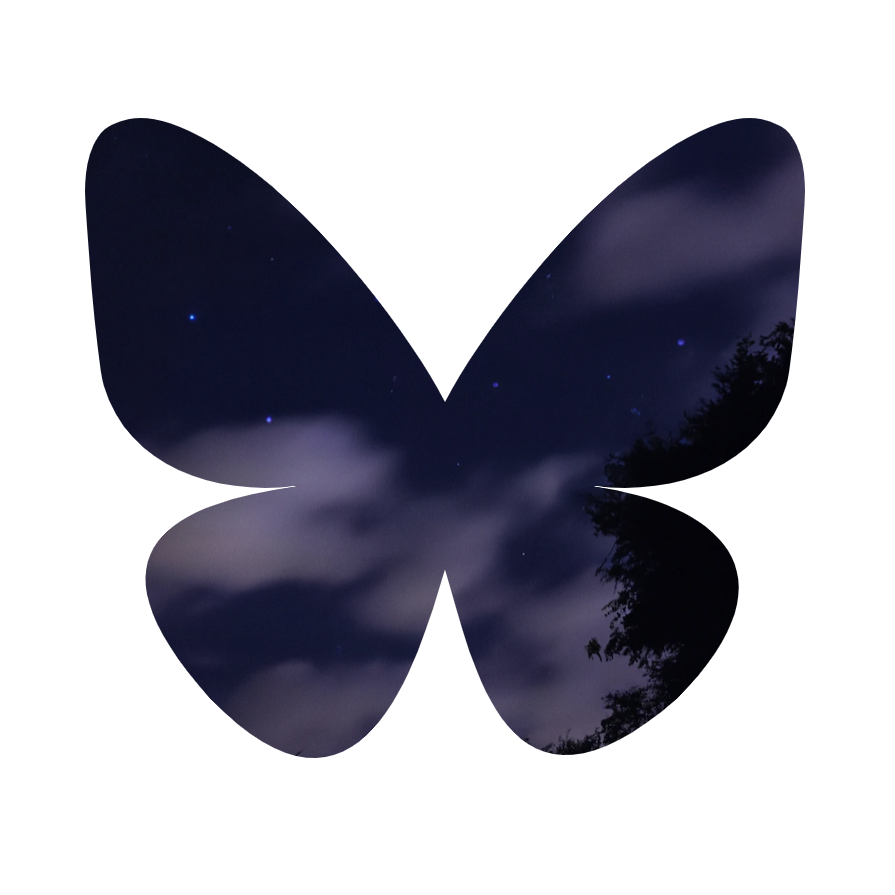 The new Blacksky logo